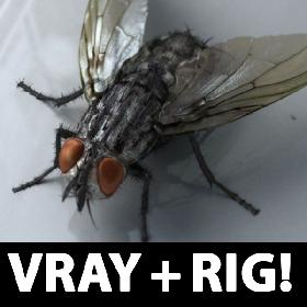 Fly realistic!  (RIGGED)(VRAY)